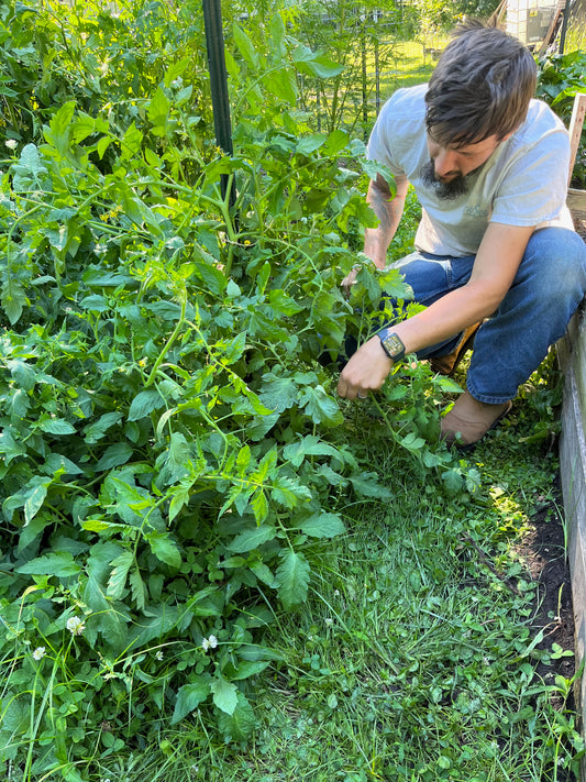 Planting Seeds