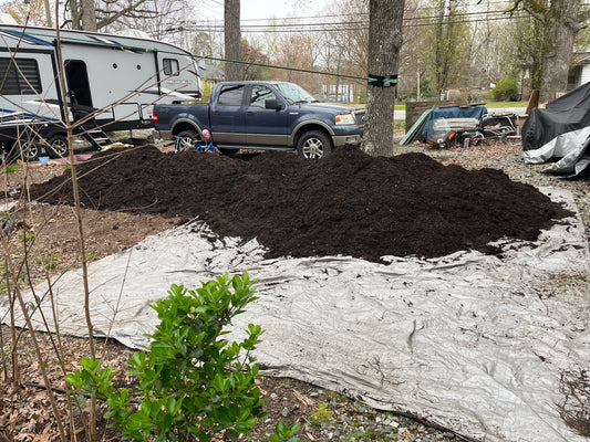 Dump and Shovel Some More