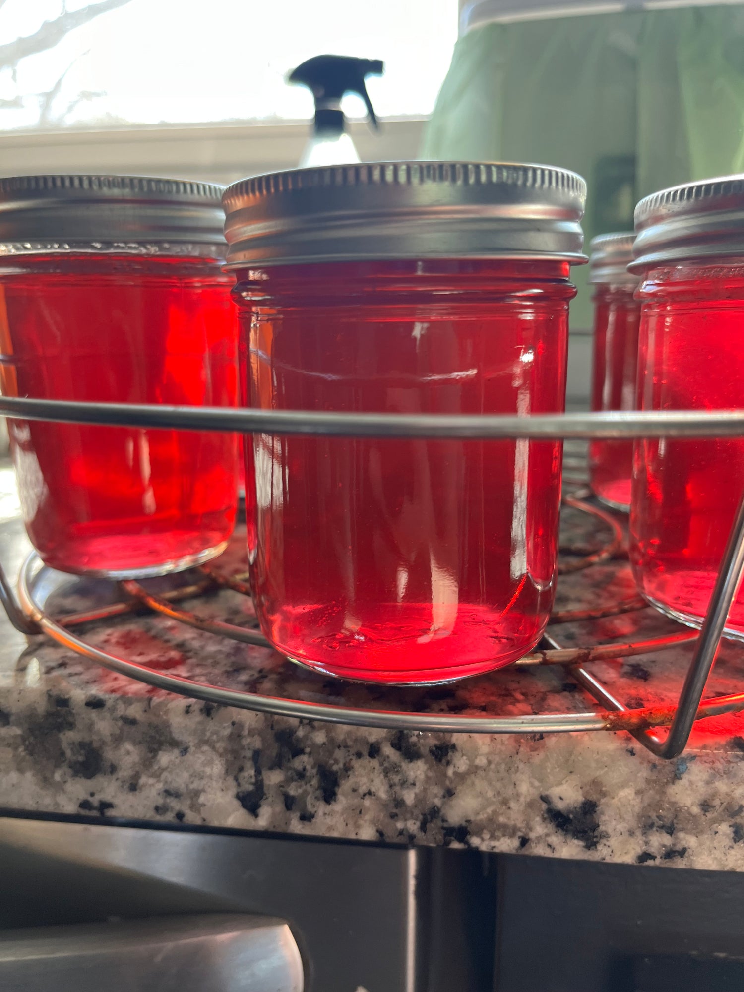 Wild Violet Jelly Recipe!
