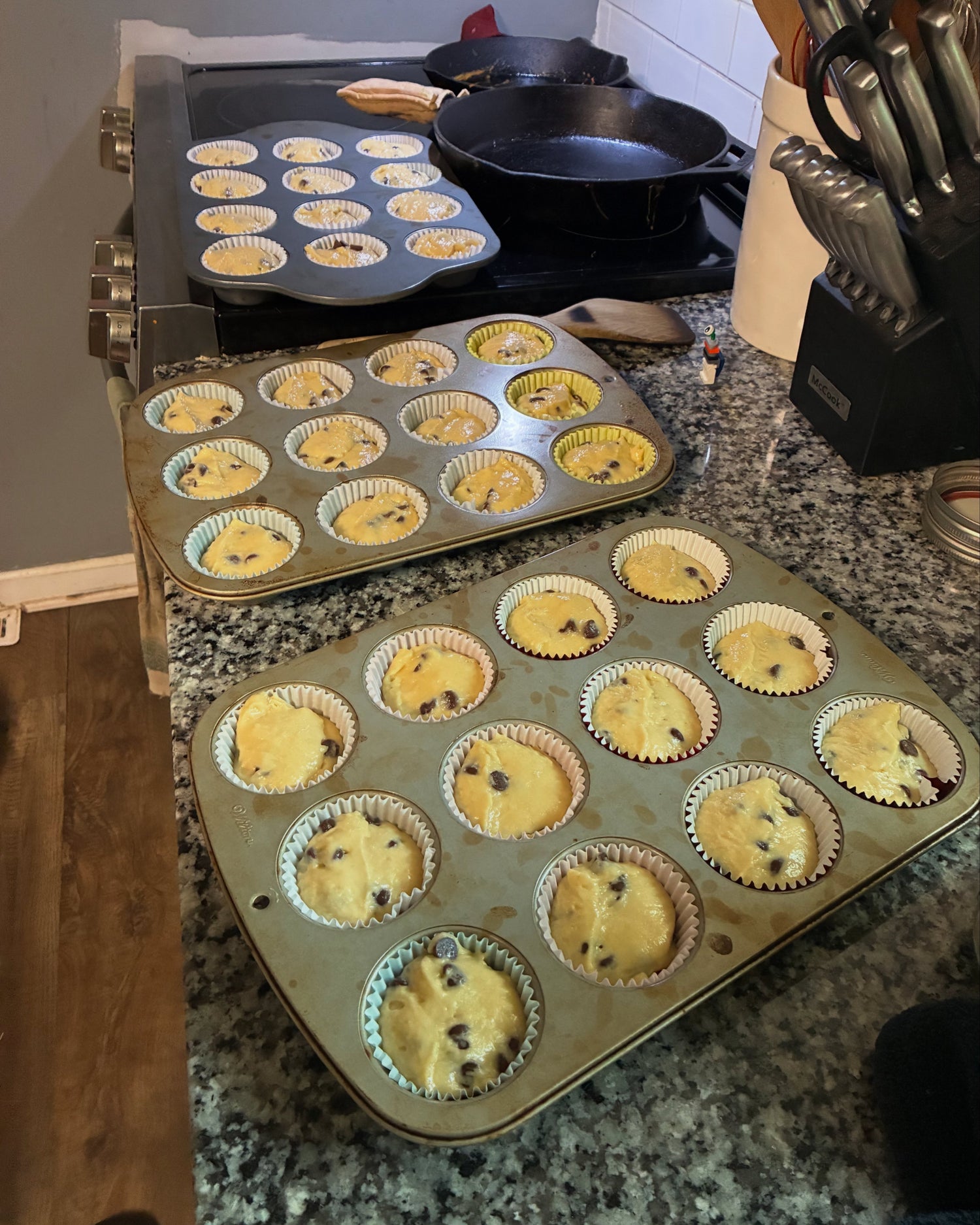 Sourdough Discard Chocolate Chip Muffins
