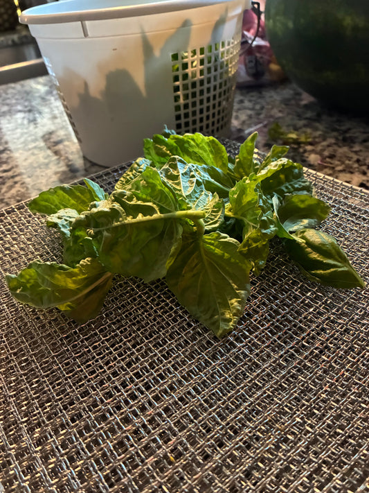 Garden Surprises!