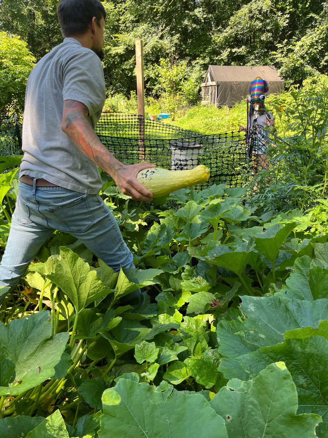 Garden Harvest - June Edition