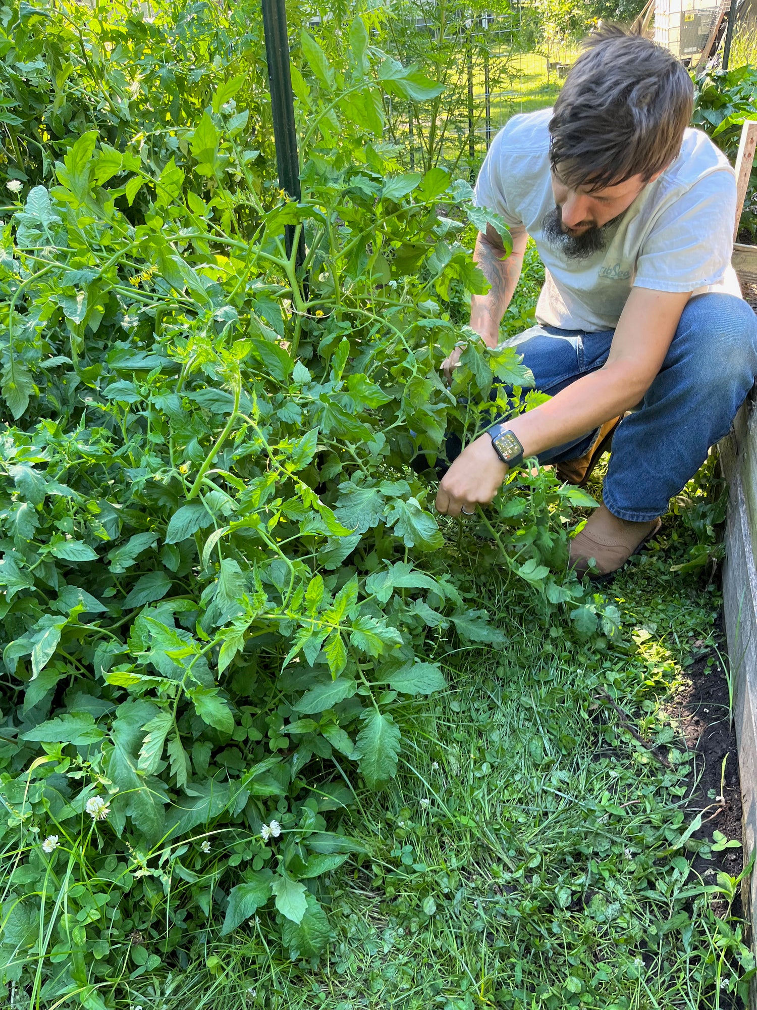 Planting Seeds