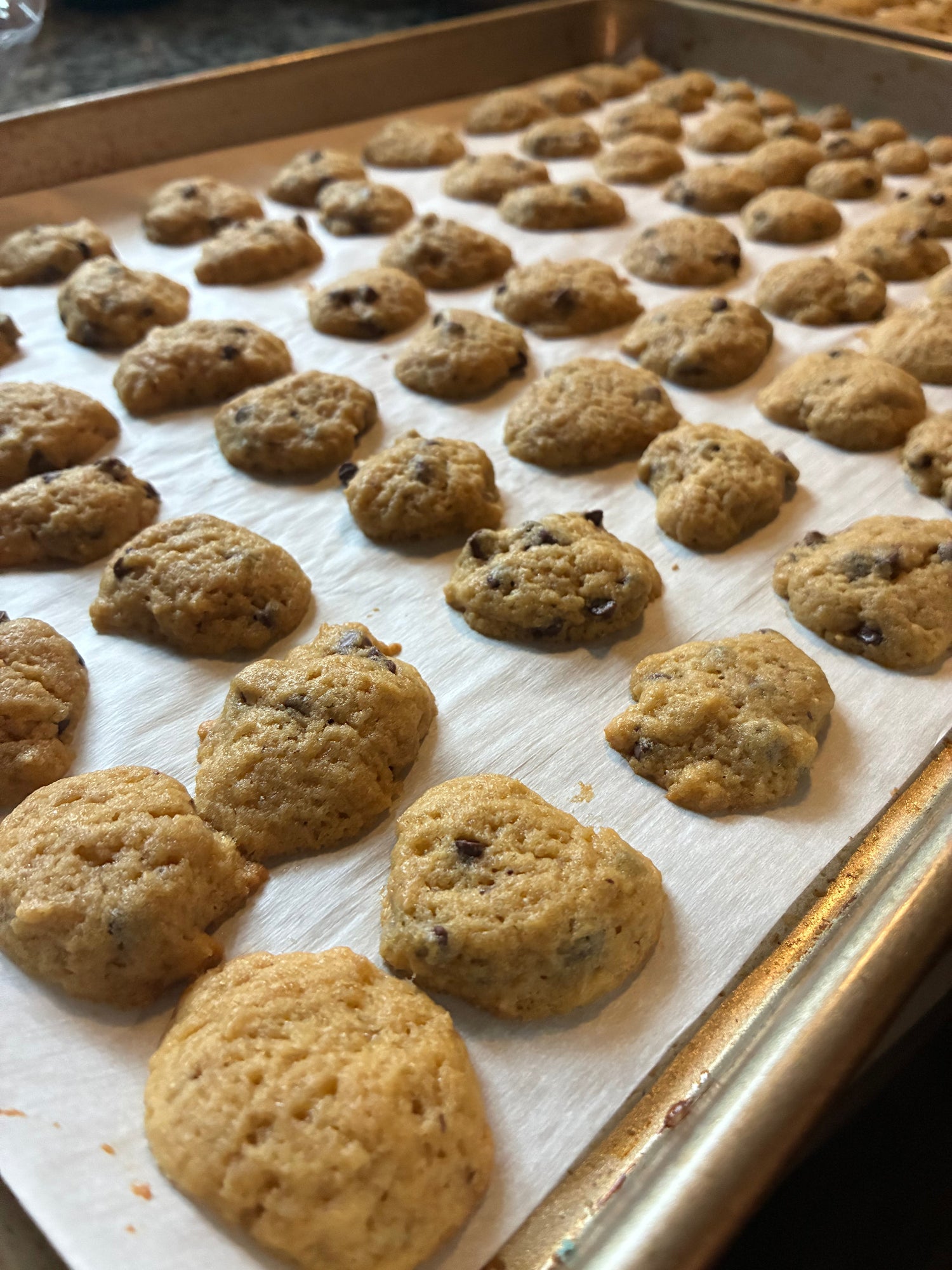 Cookie Crisp Cereal