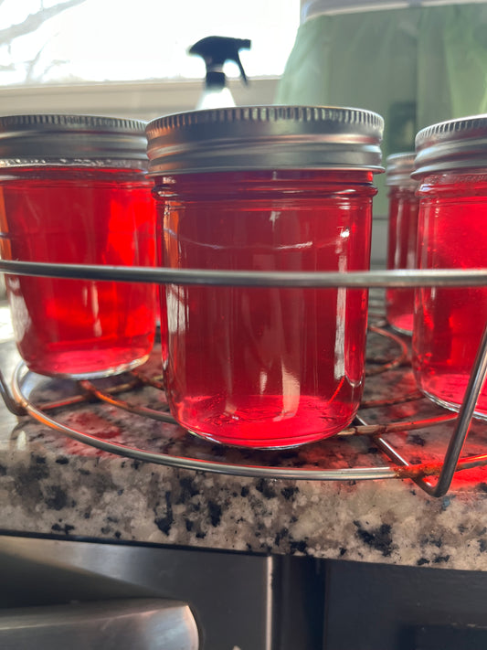 Wild Violet Jelly Recipe!